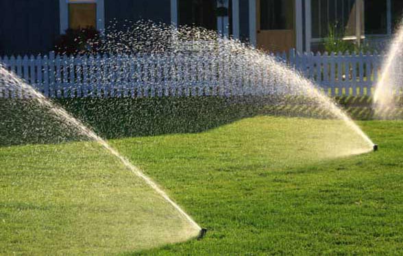 Sprinkler Installation